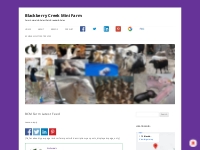 BCMFarm Latest Feed - Blackberry Creek Mini Farm