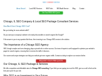 Chicago SEO Company   Consulting Expert Services