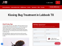 Kissing Bug Control Lubbock TX | How to Get Rid of Kissing Bugs