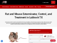 Rat and Mice Control | Exterminator for Mice Lubbock TX