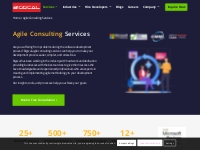 Agile Consulting Services | Bigscal s Excellence