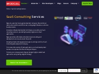SaaS Consulting Services | SaaS Development Company