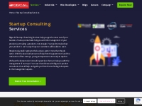Startup Consulting Services | Startup Consulting Firm - Bigscal