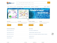 ELISA kits_Antibodies_Proteins-Life Science supplier | Biobool.com