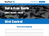 Bird Control Adelaide | Bird Mite Infestation Removal | BioPest
