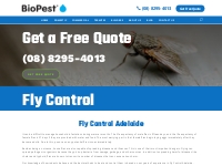Fly Control Services Adelaide | Fly Infestation Removal