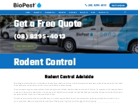 Rodent Control Adelaide | Rats   Mice Removal Adelaide | BioPest