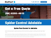 Spider Control Adelaide | Spider Removal Adelaide | BioPest
