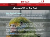 Amazons | Birds By Joe | Green Brook Township