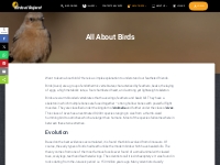 About birds, species, classification, taxonomy and more... | Birds of 