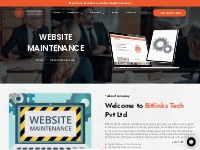 Website Maintenance Company | Cost And Packages | Bitlinks Tech