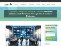 Salesforce Commerce Cloud : Transformer Votre Expérience de Commerce É