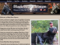 Ontario Black Bear Hunting Camps