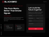 Connect | We Promise to Respond Post-Haste | Blackbird Digital, Inc.
