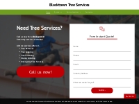       Blacktown Tree Services | State Wide Tree Cutting Service