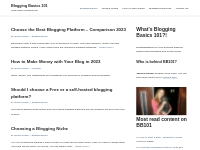 Blogging Basics 101 - Social Media   Blogging Tips