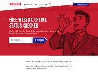 Free Website Uptime Status Checker - Check Your Website Status