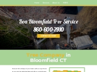            Tree Service | Tree Removal | Bloomfield, CT