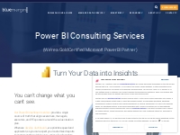 Power BI Consulting Services - Microsoft Partner - Blue Margin
