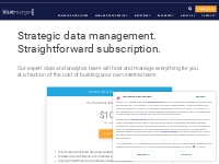 Strategic Data Management Solutions Pricing - Blue Margin