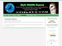 Casualty Advice   Blyth Wildlife Rescue