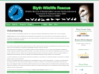 Volunteering   Blyth Wildlife Rescue