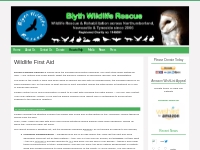 Wildlife First Aid   Blyth Wildlife Rescue