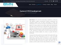 Custom CMS Development Services | BMN Infotech