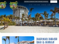 Bongos Beach Bar   Grille - St Pete Beach FL Oceanfront Bar   Restaura