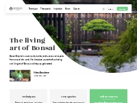 Growing and caring for a Bonsai tree - Bonsai Empire
