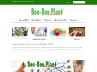    Boo-Boo Plant Tiny Live Succulent and Cactus Terrarium Necklace Pla