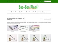    Live Mini Succulent   Cactus Terrarium Necklace Plants - Boo-Boo Pl