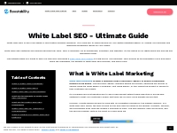 White Label SEO (UPDATED - Ultimate Guide) | Boostability