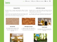 Sesame Seeds, Oilseeds, Spices Manufacturers | India | Bora Foods Pvt.
