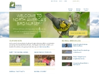 Bird Conservation | Boreal Songbird Initiative
