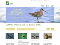 Comprehensive Guide to Birds of the Canadian Boreal Forest | Boreal So