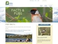 Fast Facts about Canada's Boreal Forest | Boreal Songbird Initiative
