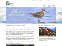 What Is a Boreal Bird | Boreal Songbird Initiative