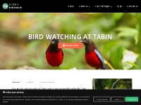 BB04 Bird Watching at Tabin - Birding with Borneo Eco Tours