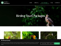 Tour Packages - Birding with Borneo Eco Tours