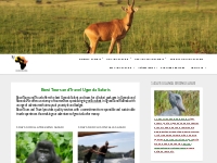 Bowi Tours Uganda Safaris   Gorillas Safaris | Wildlife