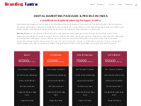 DIGITAL MARKETING PACKAGES   PRICING IN INDIA - Branding Tantra