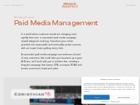 Google Ads | PPC Management Services - Brave Agency