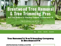 Tree Company | Tree Specialist | Brentwood, TN