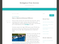 junk hauler   Bridgeton Tree Service