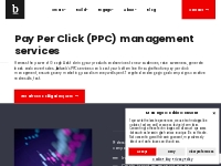 PPC Marketing Agency Sussex | PPC Specialists | britweb