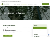 Crown Thinning | Broadleaf Tree Surgery
