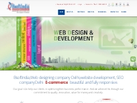 Home Page||Web designing company Delhi,website development, SEO compan