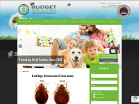 Bed Bugs - Budget Pest Control