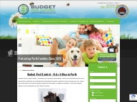Rodent Pest Control - Budget Pest - Protecting Perth Families Since 19